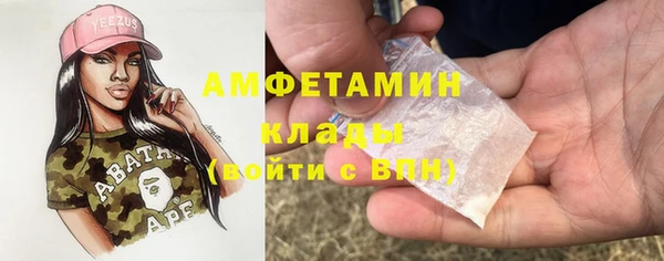 ПСИЛОЦИБИНОВЫЕ ГРИБЫ Арсеньев