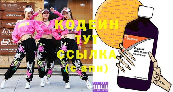 ПСИЛОЦИБИНОВЫЕ ГРИБЫ Арсеньев