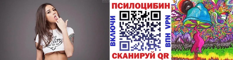 хочу наркоту  Новоалександровск  Псилоцибиновые грибы мицелий 